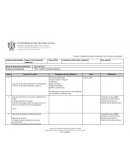 Programación académica semestral de contenidos y actividades