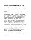 DERECHOS PUBLICOS SUBJETIVOS EN MATERIA PENAL