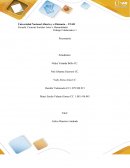 Psicometria Trabajo Colaborativo