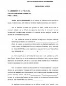 DELITO USURPACION DE PROFESIONES.