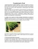 Cuestionario final 1.¿Qué otras especies se pudieron identificar y censar en la práctica?