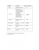 Informe sobre una bobina