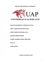 CLASES DE PROCESOS CIVILES. Página 1