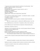 DISTRIBUIDORA DE CALZADO EL ZAPATO VELOZ S.A. DE C.V.