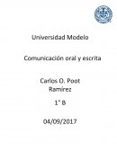 Redes formales de grupos pequeños.