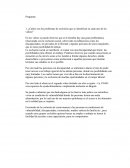 ¿Cuáles son los problemas de exclusión que se identifican en cada uno de los videos?