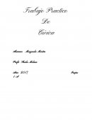 Trabajo Practico De Cívica