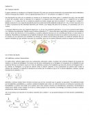 Organica Capítulo 16. 16.1 El grupo carbonilo