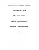 El Pensamiento Sistémico. Aplicando mi enfoque sistémico