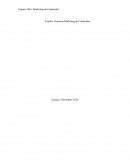 Expotic: Ponencia Marketing de Contenidos