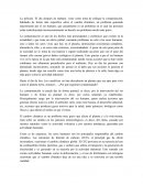 Ensayo de contaminacion. La película ¨El día después de mañana¨