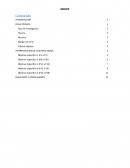 INTERPRETACIÓN DE LOS RESULTADOS