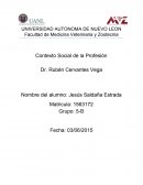 Contexto Social de la Profesión Opinión sobre futuros profesionales