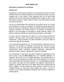 BEST ENERGY INC. Descripción y desarrollo de la empresa