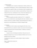 DETERMINACION DE LAS VARIABLES TRANSITO Y SUBRASANTE PARA POSTERIOR DISEÑO DE PAVIMENTOS DE LA VARIANTE CERETE