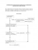 DETERMINACION DE PUNTOS CRITICOS DE CONTROL PARA LA ELABORACION DE SALCHICHA DE RES Y CERDO TIPO VIENA.