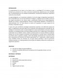 Histología Texto Atlas color con Biología celular y moleculaR