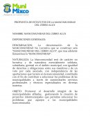 PROPUESTA DE ESTATUTOS DE LA MANCOMUNIDAD DEL CERRO ALUX