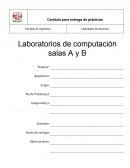 Carátula para entrega de prácticas