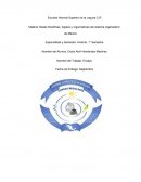 Especialidad y Semestre: Historia, 1° Semestre