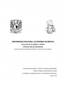 Psicología Evolutiva II y Psicología de la Educación