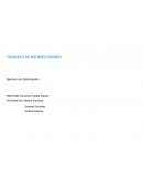 Desarrolle utilizando el modelo de optimización visto en clases las siguientes actividades: Ejercicio  N°1