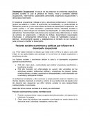Desempeño Ocupacional “el actuar de las personas en ambientes específicos, proceso durante el cual la persona se motiva, inicia y completa distintas ocupaciones, interviniendo capacidades personales, exigencias ocupacionales y demandas ambientales”