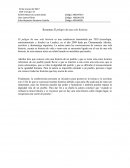 Resumen El peligro de una sola historia