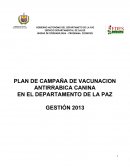 PLAN DE CAMPAÑA DE VACUNACION ANTIRRABICA CANINA EN EL DEPARTAMENTO DE LA PAZ - GESTION 2013