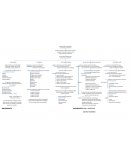 RECOLECCIÓN Y ANÁLISIS DE LOS DATOS CUALITATIVOS