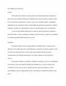 Factores Culturales. Subcultura