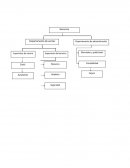 Trabajo de los supervisores