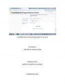 Actividad Una nueva Constitucion