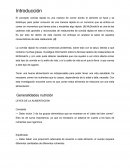 Sleep and Dream Essay