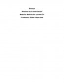 Ensayo “Historia de la motivación”