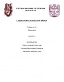LABORATORIO DE BIOLOGÍA BÁSICA