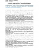 Tarea 1: Causas y efectos de la contaminación