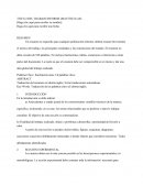 Un resumen es requerido para cualquier publicación-informe