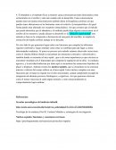 El abandono y el maltrato físico a menores causa consecuencias tanto funcionales como estructurales en el cerebro