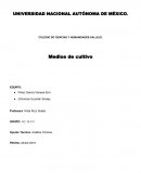 Medio de cultivo analisis clinicos. Opción Técnica: Análisis Clínicos