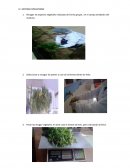 TODOS LOS METODOS DE EXTRACCION