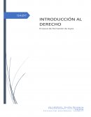 TRABAJO PRACTICO PROCESO DE FORMACIÓN DE LEYESs