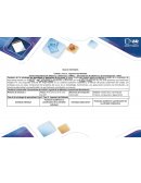 Reflexión y Proposición Colectiva. A partir de las experiencias individuales, el grupo de trabajo colaborativo seleccionará: