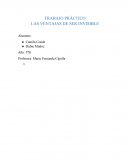 LAS VENTAJAS DE SER INVISIBLE