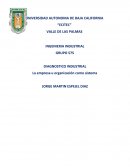 Tema de La empresa u organizacion como sistema