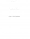 UNIVERSIDAD ESPECIALIDAD EN IMPUESTOS MÓDULO DE PRECIOS DE TRANSFERENCIA