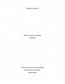 Como son los avances de los Insicadores colombia