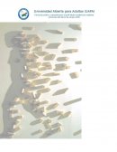 Programación de actividades de la Asignatura