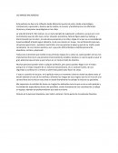 Ensayo sobre las Las manos milagrosas