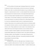 El presidente de Acme